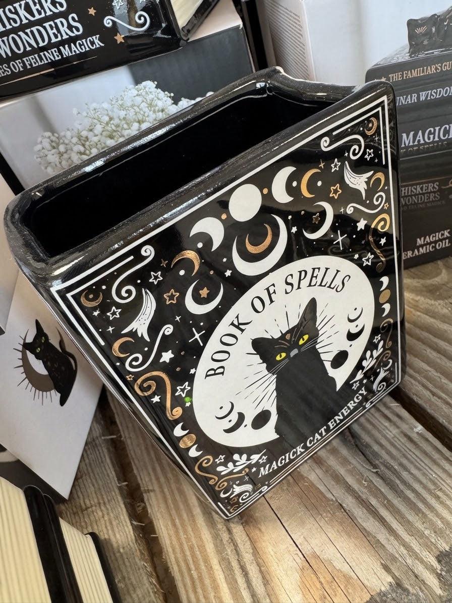 Vase chat noir